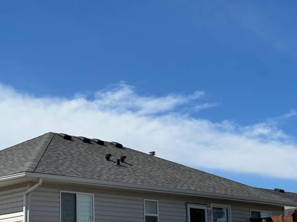 Best Steel Roofing  in Grinnell, IA